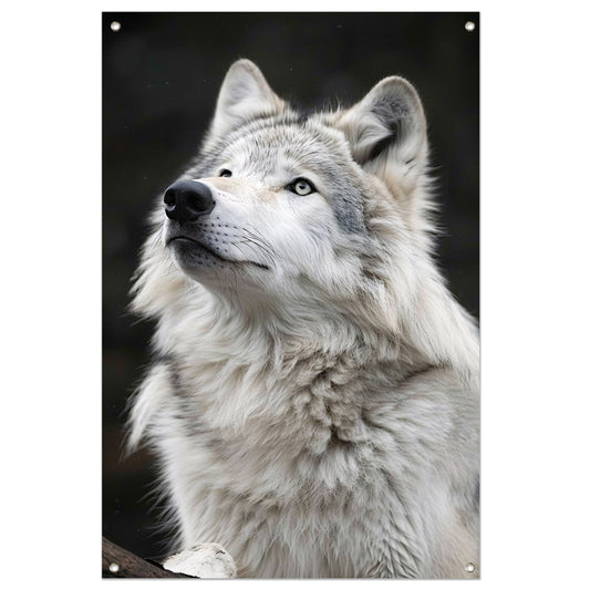 Portret van een Witte Wolf in Zwart-Wit tuinposter