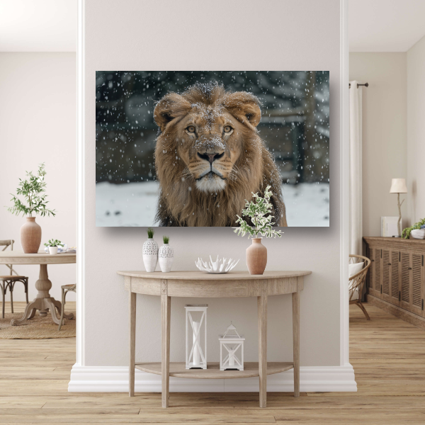 Majestueuze Leeuw in Sneeuwbedekte Wildernis canvas met baklijst