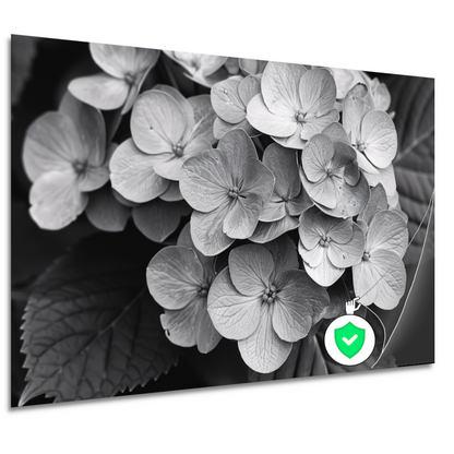 Hydrangea in Zwart-Wit poster