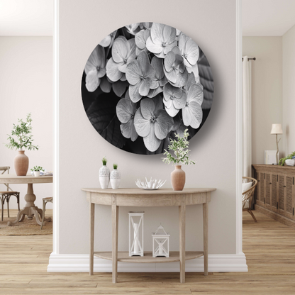 Hydrangea in Zwart-Wit forex muurcirkel
