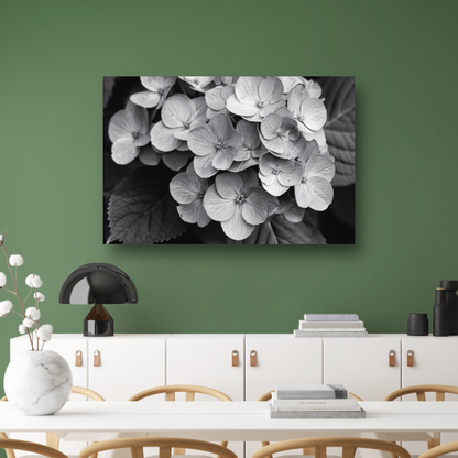 Hydrangea in Zwart-Wit canvas