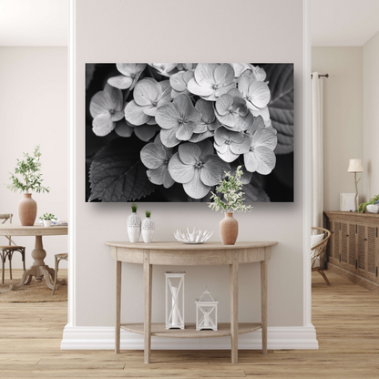 Hydrangea in Zwart-Wit canvas