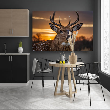 Majestueus hert bij een prachtige zonsondergang poster