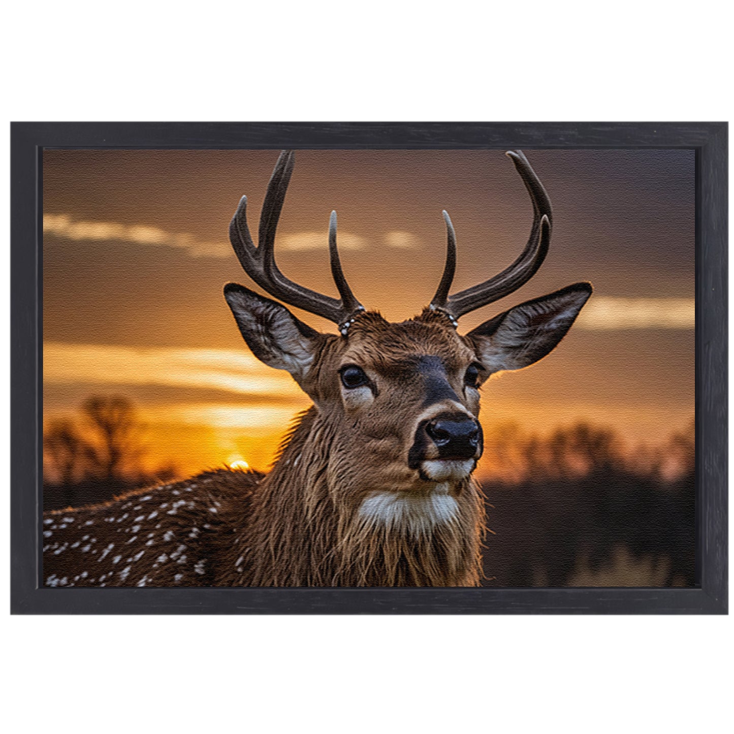 Majestueus hert bij een prachtige zonsondergang canvas met baklijst
