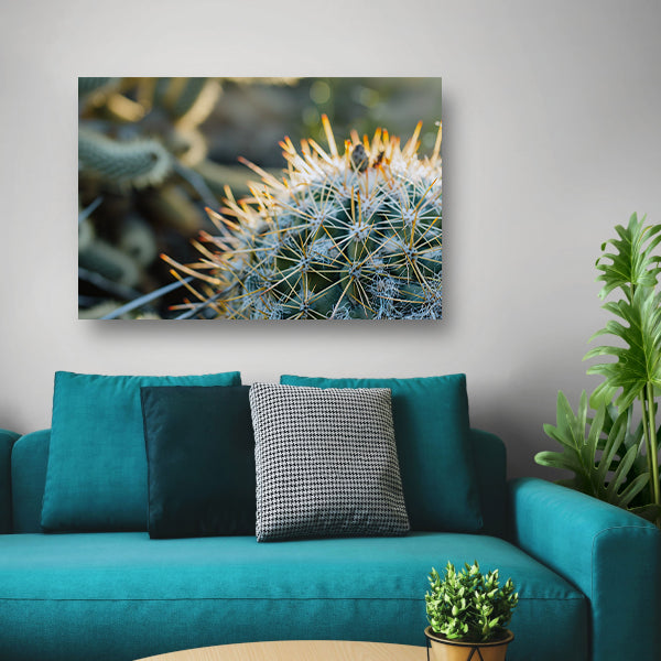 Close-up van een cactus met stekels   poster