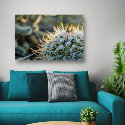 Close-up van een cactus met stekels   poster