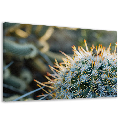 Close-up van een cactus met stekels   canvas