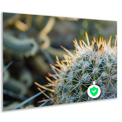 Close-up van een cactus met stekels   poster