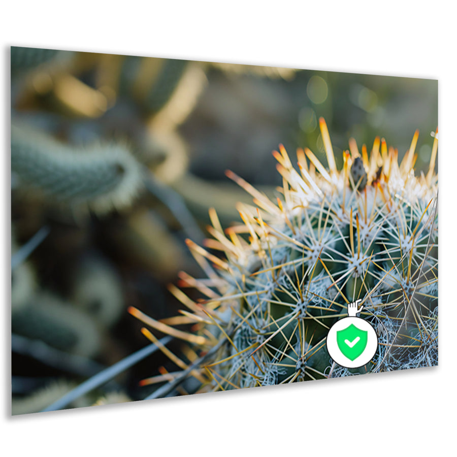 Close-up van een cactus met stekels   poster