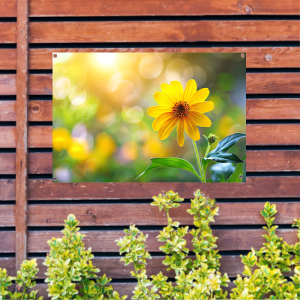 Zonnebloem Stilleven tuinposter