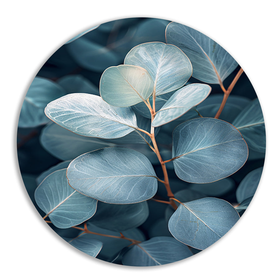Elegante eucalyptusbladeren in zilveren en blauwe tinten aluminium muurcirkel