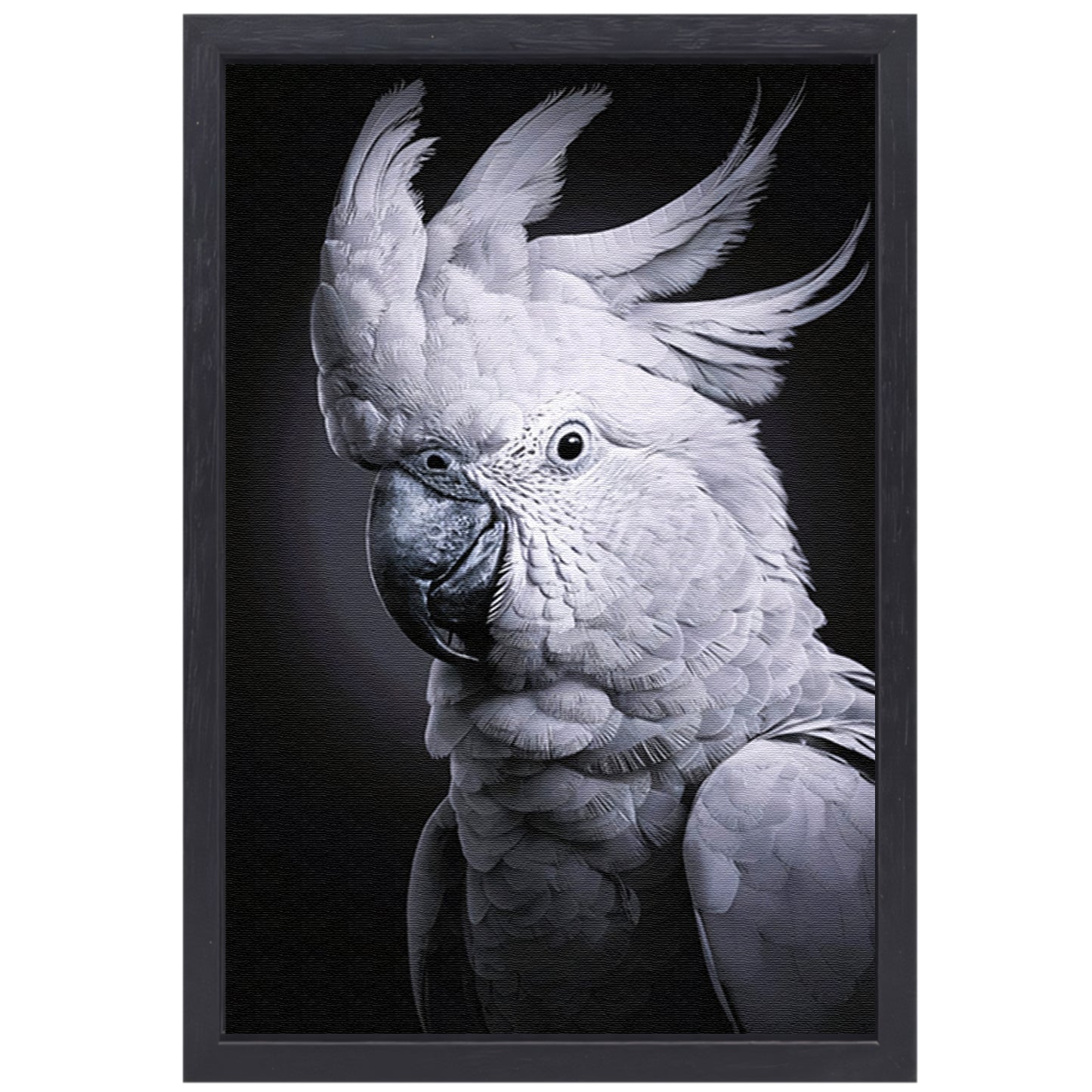 Monochrome Weergave van een Kaketoe canvas met baklijst