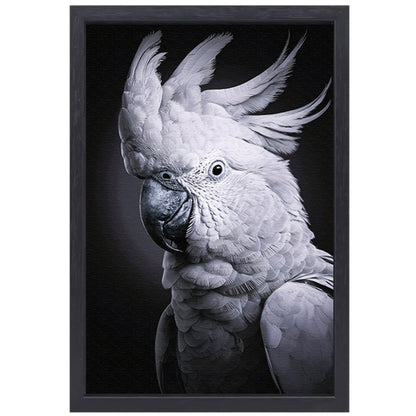 Monochrome Weergave van een Kaketoe canvas met baklijst