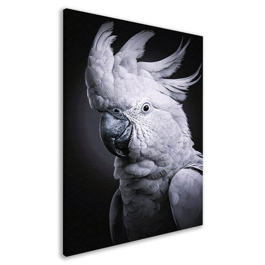 Monochrome Weergave van een Kaketoe canvas