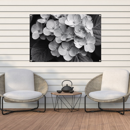 Hydrangea in Zwart-Wit tuinposter