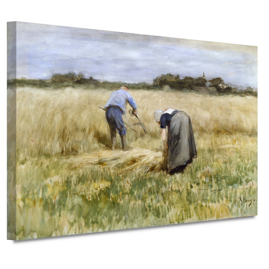 De maïsoogst - Anton Mauve canvas