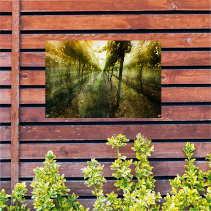 Lichtspel in de ochtendwijngaard tuinposter