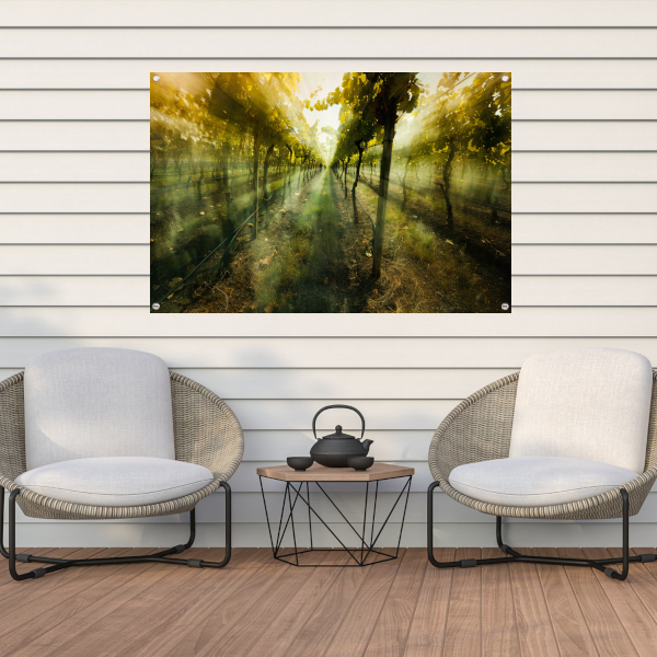 Lichtspel in de ochtendwijngaard tuinposter