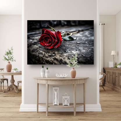 Rode roos in ochtenddauw canvas met baklijst