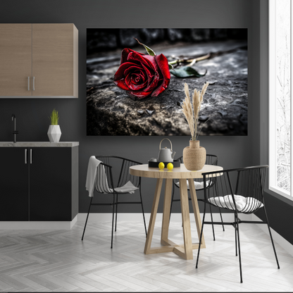 Rode roos in ochtenddauw canvas met baklijst