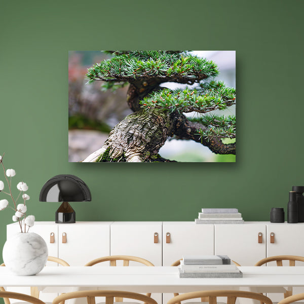 Gedetailleerde close-up van een bonsai boomcanvas