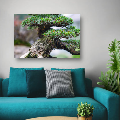 Gedetailleerde close-up van een bonsai boomcanvas