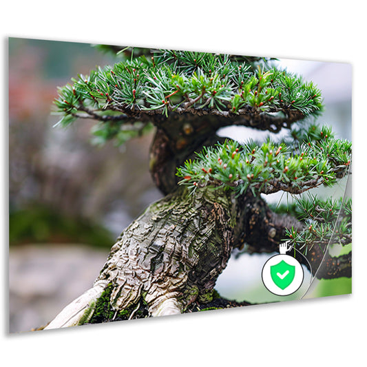 Gedetailleerde close-up van een bonsai boom poster