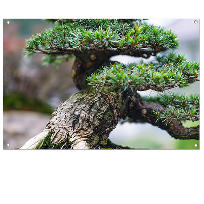 Gedetailleerde close-up van een bonsai boom tuinposter