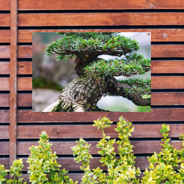 Gedetailleerde close-up van een bonsai boom tuinposter