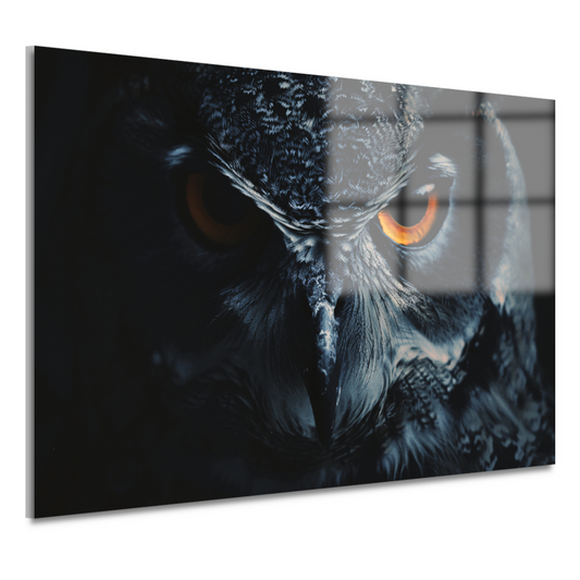 De hypnotiserende ogen van de uil acrylglas