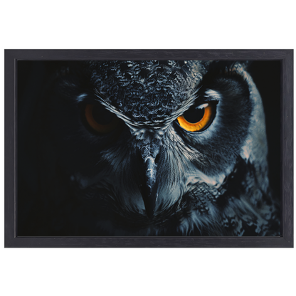 De hypnotiserende ogen van de uil canvas met baklijst