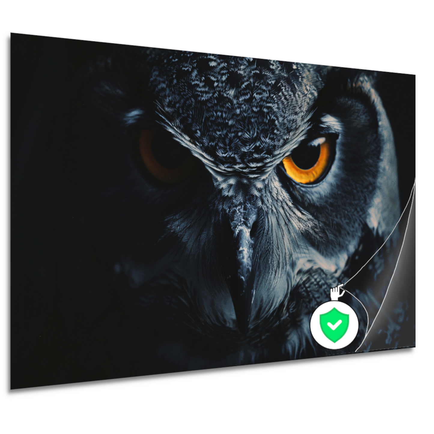 De hypnotiserende ogen van de uil poster