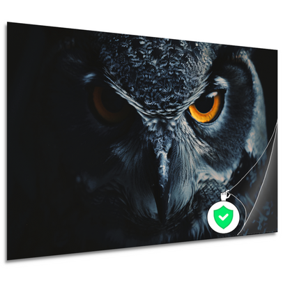 De hypnotiserende ogen van de uil poster
