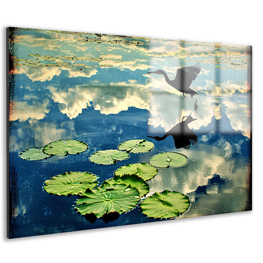 Vogel boven water met reflectie   acrylglas