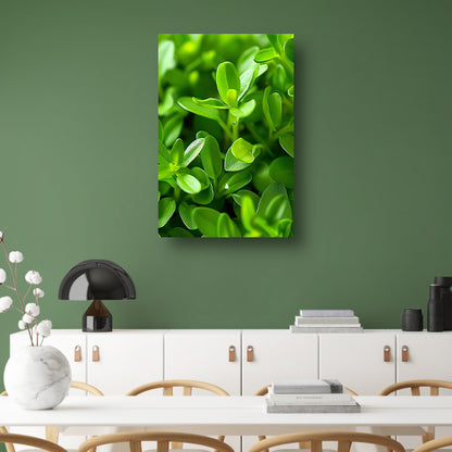 Close-up van Groene Planten met Dauwdruppels canvas