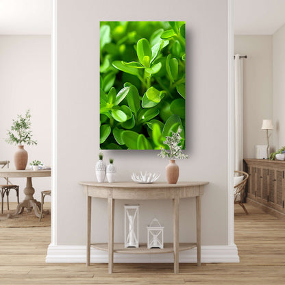 Close-up van Groene Planten met Dauwdruppels canvas