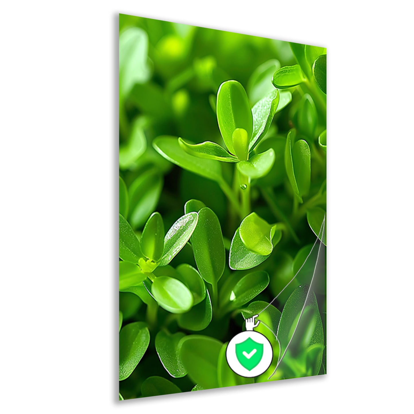 Close-up van Groene Planten met Dauwdruppels poster