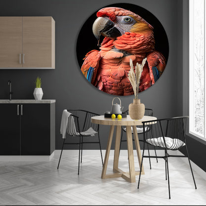 Portret van een Ara met waterdruppels aluminium muurcirkel