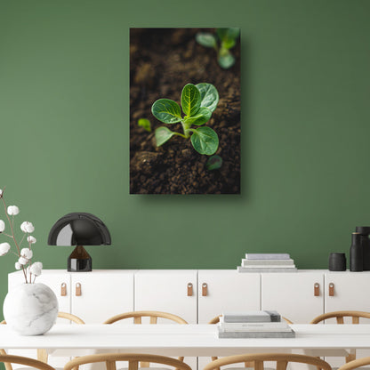 Jonge plant in donkere aarde acrylglas