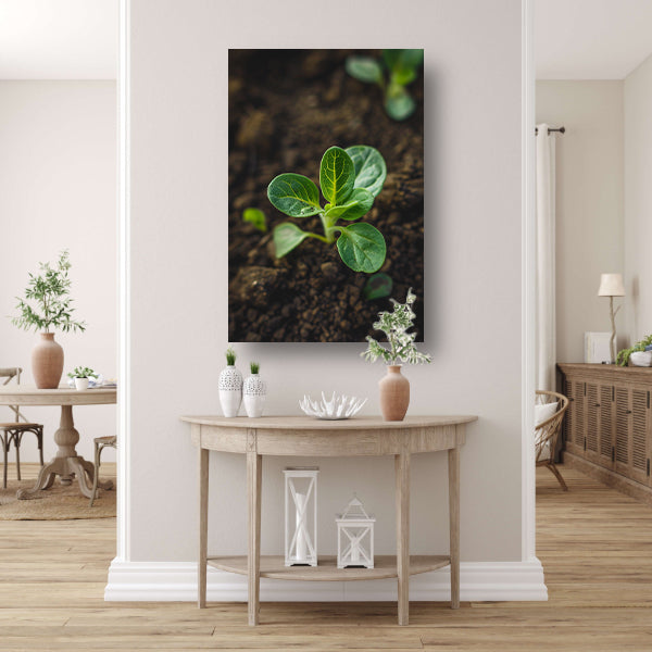 Jonge plant in donkere aarde acrylglas