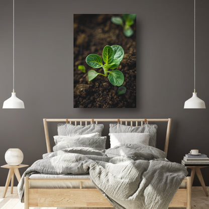 Jonge plant in donkere aarde acrylglas