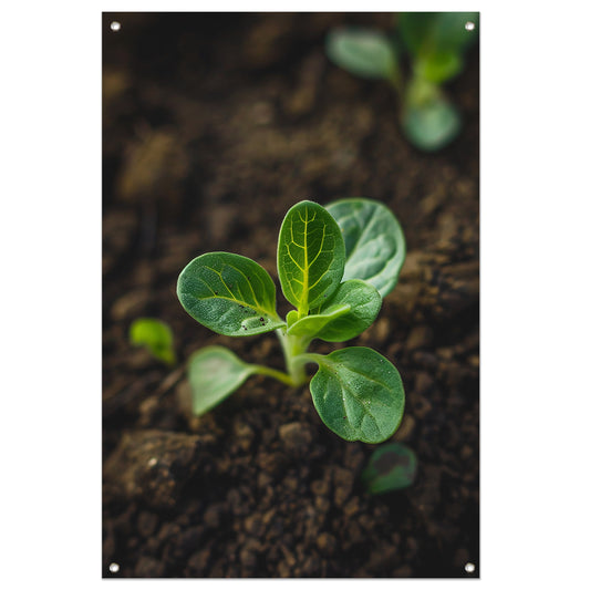 Jonge plant in donkere aarde tuinposter