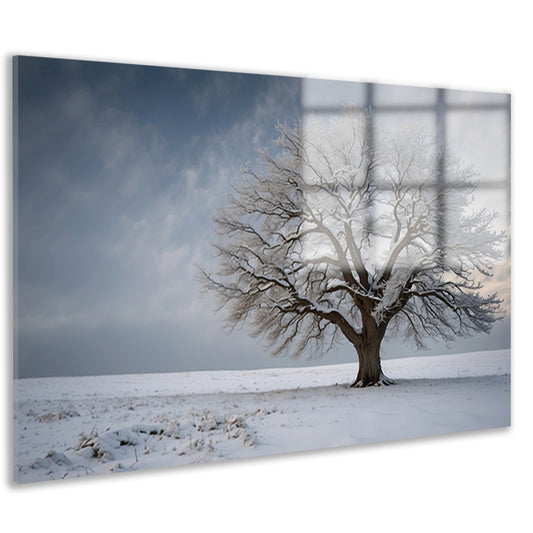 Een eenzame boom in de sneeuw acrylglas