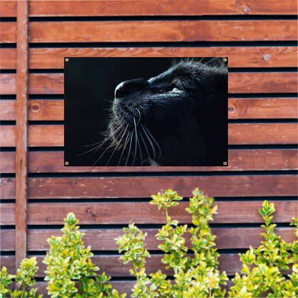 Zwarte kat in het schaduwspel tuinposter