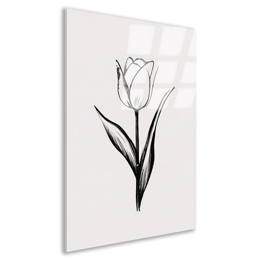 Minimalistische tulp in zwart-wit lijnenspel acrylglas