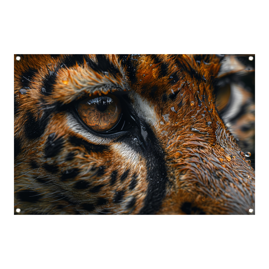 Gedetailleerde close-up van tijgeroog en vacht tuinposter