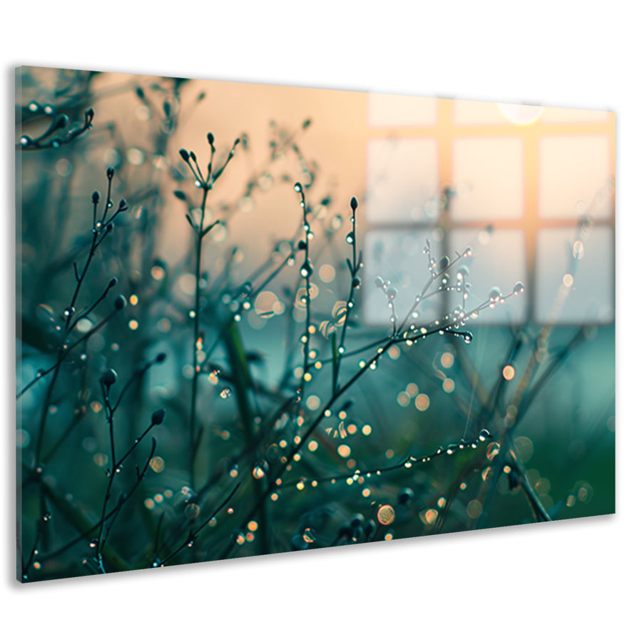 Subtiele ochtenddauw op delicate takken acrylglas