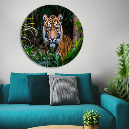 Tijger in dichte jungle, intense blik forex muurcirkel