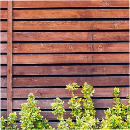Minimalistische Houten Spiraal tuinposter