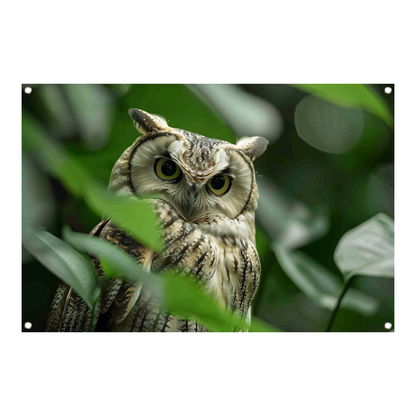 Uil tussen het groen van de jungle tuinposter